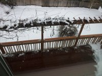 2014-02-10 11.09.17  Back yard looking down from deck